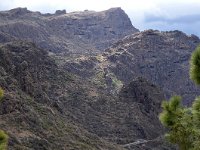 E, Las Palmas, Tejeda, near Roque Nublo 11, Saxifraga-Tom Heijnen