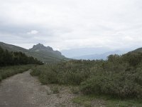 E, Leon, Boca de Huergano, Puerto de San Glorio 7, Saxifraga-Willem van Kruijsbergen