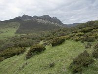 E, Leon, Boca de Huergano, Puerto de San Glorio 8, Saxifraga-Willem van Kruijsbergen