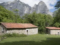 E, Leon, Posada de Valdeon, Ermita de Corona 10, Saxifraga-Willem van Kruijsbergen