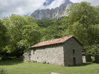 E, Leon, Posada de Valdeon, Ermita de Corona 12, Saxifraga-Willem van Kruijsbergen