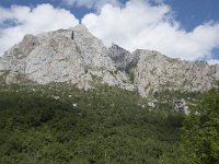 E, Leon, Posada de Valdeon, Ermita de Corona 4, Saxifraga-Willem van Kruijsbergen