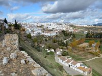 E, Málaga, Ronda 2, Saxifraga-Tom Heijnen