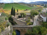 E, Málaga, Ronda, Puente San Miguel, Saxifraga-Tom Heijnen