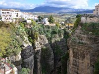 E, Málaga, Ronda, Tajo de Ronda 1, Saxifraga-Tom Heijnen