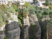 E, Málaga, Ronda, Tajo de Ronda 2, Saxifraga-Tom Heijnen