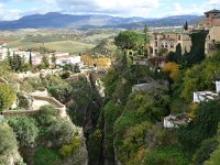 E, Málaga, Ronda, Tajo de Ronda 3, Saxifraga-Tom Heijnen