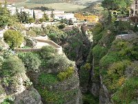 E, Málaga, Ronda, Tajo de Ronda 4, Saxifraga-Tom Heijnen