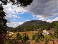 E, Malaga, Ronda, Sierra de las Nievas 5, Saxifraga-Hans Dekker