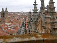 E, Salamanca, Salamanca 10, Saxifraga-Tom Heijnen