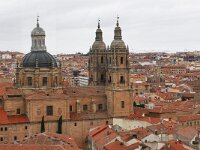 E, Salamanca, Salamanca 11, Saxifraga-Tom Heijnen