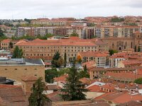 E, Salamanca, Salamanca 13, Saxifraga-Tom Heijnen