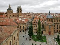 E, Salamanca, Salamanca 5, Saxifraga-Tom Heijnen