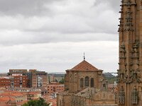 E, Salamanca, Salamanca 6, Saxifraga-Tom Heijnen