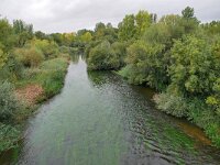 E, Salamanca, Salamanca, Tormes 1, Saxifraga-Tom Heijnen