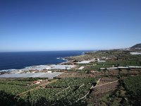 E, Santa Cruz de Tenerife, Buenavista del Norte 1, Saxifraga-Dirk Hilbers