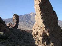 E, Santa Cruz de Tenerife, La Oratava, Canadas del Teide 11, Saxifraga-Dirk Hilbers