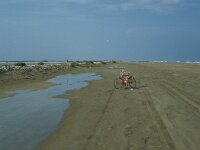 E, Taragona, Deltebre, Punta de la Banya 2, Saxifraga-Jan van der Straaten