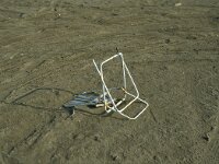 E, Taragona, Deltebre, Punta de la Banya 3, Saxifraga-Jan van der Straaten