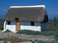 E, Tarragona, Deltebre, Bassa de la Tancada 1, Saxifraga-Jan van der Straaten