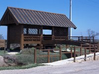 E, Tarragona, Deltebre, Bassa de la Tancada 2, Saxifraga-Jan van der Straaten