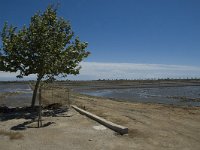 E, Tarragona, Deltebre, Canal Vell 14, Saxifraga-Marijke Verhagen