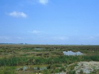 E, Tarragona, Deltebre, LEncanyssada 13, Saxifraga-Jan van der Straaten