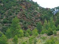 E, Teruel, Camarena de la Sierra, Javalambre 10, Saxifraga-Jan van der Straaten