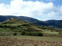 E, Teruel, Camarena de la Sierra, Javalambre 2, Saxifraga-Jan van der Straaten