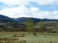 E, Teruel, Camarena de la Sierra, Javalambre 3, Saxifraga-Jan van der Straaten