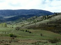 E, Teruel, Camarena de la Sierra, Javalambre 5, Saxifraga-Jan van der Straaten