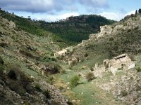 E, Teruel, Camarena de la Sierra, Javalambre 9, Saxifraga-Jan van der Straaten