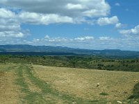 E, Teruel, La Puebla de Valverde 3, Saxifraga-Jan van der Straaten