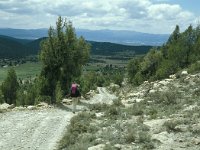 E, Teruel, Mora de Rubielos 10, Saxifraga-Jan van der Straaten