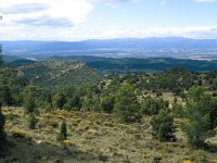 E, Teruel, Mora de Rubielos 5, Saxifraga-Jan van der Straaten