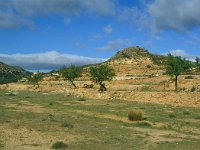 E, Teruel, Riodeva, El Carrilejo 1, Saxifraga-Jan van der Straaten