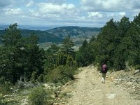 E, Teruel, Valdelinares, Morron del Botage 2, Saxifraga-Jan van der Straaten