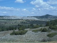 E, Teruel, Villaroya de los Pinares 2, Saxifraga-Jan van der Straaten