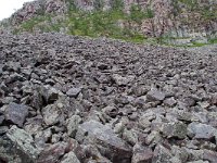 S, Dalarna, Sarna, National Park Fulufjallet, Buntsandstein 7, Saxifraga-Willem van Kruijsbergen