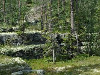 S, Jamtlands lan, Harjedalen 16, Saxifraga-Willem van Kruijsbergen