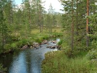 S, Jamtlands lan, Harjedalen 8, Saxifraga-Willem van Kruijsbergen