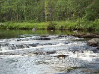 S, Jamtlands lan, Harjedalen, Waterfall 10, Saxifraga-Willem van Kruijsbergen