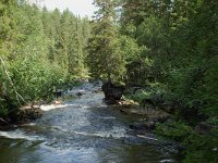 S, Jamtlands lan, Harjedalen, Waterfall 5, Saxifraga-Willem van Kruijsbergen