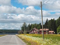 S, Jamtlands lan, Ostersund, Lit 1, Saxifraga-Hans Dekker