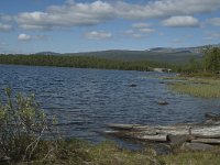 S, Norrbottens lan, Arjeplog 10, Saxifraga-Marijke Verhagen