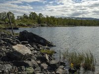 S, Norrbottens lan, Arjeplog 8, Saxifraga-Marijke Verhagen