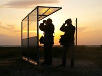 S, Skane lan, Vellinge, Falsterbo 1, Saxifraga-Foto Fitis-Sytske Dijksen