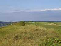 S, Skane lan, Vellinge, Falsterbo, Nabben 1, Saxifraga-Foto Fitis-Sytske Dijksen