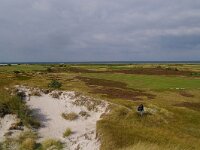 S, Skane lan, Vellinge, Falsterbo, Nabben 2, Saxifraga-Foto Fitis-Sytske Dijksen