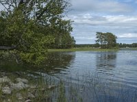 S, Uppsala lan, Heby 24, Saxifraga-Marijke Verhagen